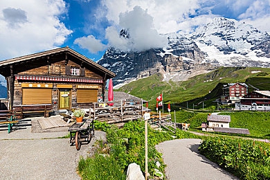 小孩和姐姐一起摘萝卜：田园协作驾驶新作，亲情丰收之旅温馨启程-2