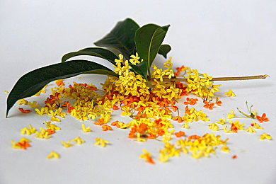 黄色软件下载处：《极限竞速：地平线5》涂装编辑器新趋势，黄金落日主题创作引爆玩家社区-1