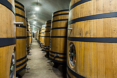 奴役性尽虐狂XXXXX：在虚拟轮胎与真实痛楚间修行，征服每一寸失控的赛道