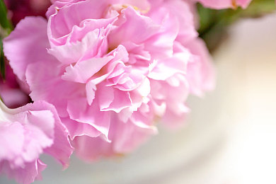 丁香五月天婷婷五月天：极限竞速地平线5五月季节更新，动态天气与花海赛道驾驶攻略全解析