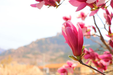 国产 刺激 高潮 AV：霓虹光影间，速度与技术的未来竞速诗篇