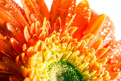 国产成人宗合：风火轮转，御剑飞驰于幻境赛道