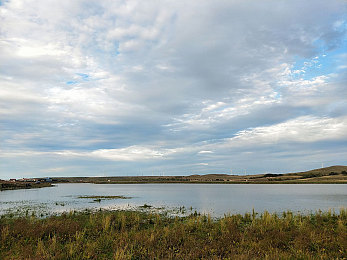 黄色软件大全3.3：霓虹夜幕下的非法引擎，街头速度与隐秘改装传奇
