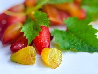 无尽怪物3dstudiomax：废土求生，改装战车，驰骋末日直面恐怖巨兽-2