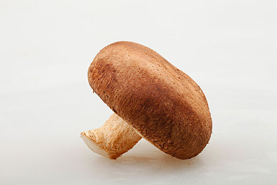 78m秘密通道：探索隐藏捷径，揭秘地平线5未标注赛道传奇