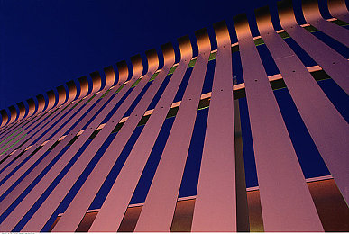 黄色软件OPPO3.3：霓虹都市飞驰，改装狂潮与虚拟自由的边界探索