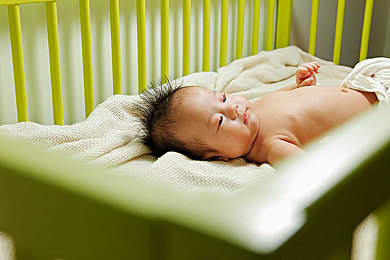 含羞草2025：在枯萎的纪元，播种最后一片会呼吸的绿洲