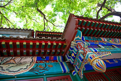 天天舔天天搞：永不满足的机械美学，赛道收藏家的调校轮回