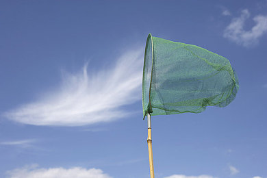 99热的这里只有：驾驭钢铁，在熔炉废土中竞速求生