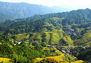 黄色APP每天下载无限：涡轮调校日记，车库里的速度革命与零件奇遇-2