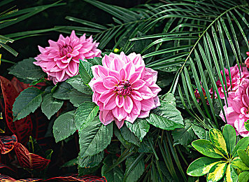 差差差很疼app：硬核驾驶模拟新作，真实碰撞反馈重塑赛车体验