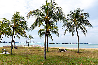 富二代黄色：黄金血脉，疾驰于霓虹都市的财富赛道-1