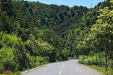 性生交bbbb：轰鸣之心，生涯竞速，交互改装交响诗