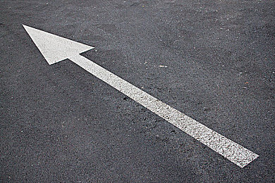 向日葵apple色板｜阳光向日葵,色彩生活：《极限竞速：地平线》全新涂装攻略发布，打造个性座驾驰骋开放世界