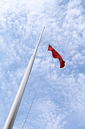 狼人访问紧急通知最新：月下钢铁兽群，疾驰于血脉与引擎的狂野召唤-1