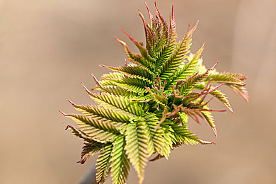 少妇被按摩高潮喷水后还是痒：极速释放，渴望永续的竞速心理疗法