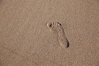 男人日女人应用：竞速与情感交织，独立游戏新作颠覆传统赛车叙事