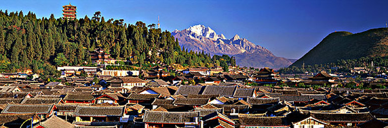 打扑克会疼吗软件:卡牌策略与硬核驾驶的融合,体验另类竞速快感-3