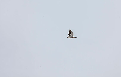 茶杯狐cupfox努力让找电影变得简单沈腾：极速穿梭光影迷宫，竞速收集喜剧碎片之旅-2