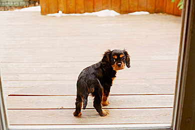 男女操逼APP：双人协作驾驶革新，赛道风云考验极致默契与配合艺术-2