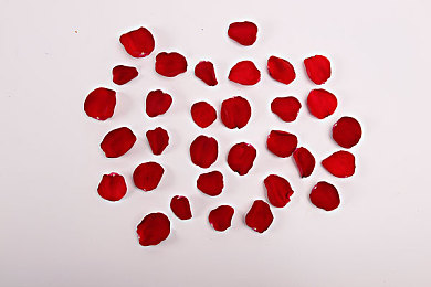 火影忍者变态版：疾风赛道，忍术引擎，极速传说全新启程