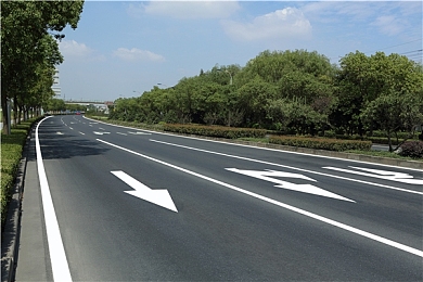 男女插插软件免费：双人协同驾驶新纪元，免费竞速游戏极速搭档引爆合作热潮