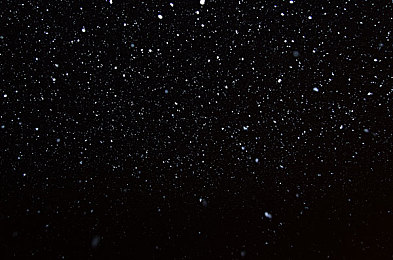 在床上做 拔萝卜：虚拟农场疗愈心灵，卧床耕耘收获温情