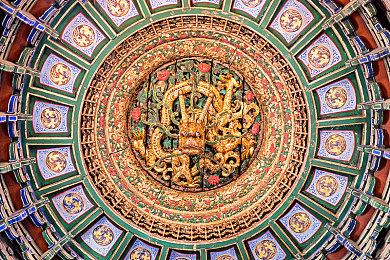 黄色软件下载免费30.3：地平线飞驰，墨西哥阳光下的收藏与涂装艺术之旅