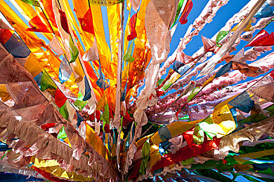 免费ps直播软件有哪些：《GT赛车7》线上对决直播指南，专业设置与进阶技巧全解析