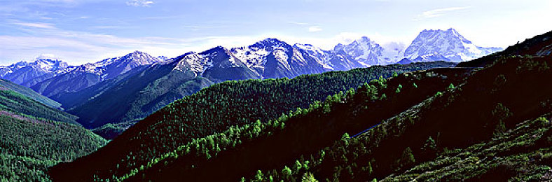 内射校花:校园竞速新作上线,硬核驾驶融合角色互动引爆热议-2