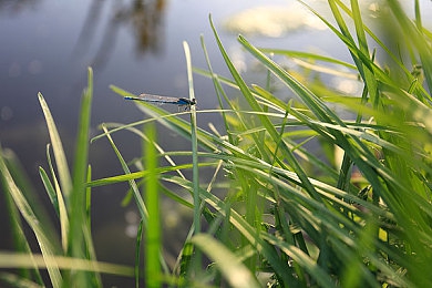 黄色软件下载大全免费华为：极限竞速新手指南，从车辆调校到赛道技巧全解析-2