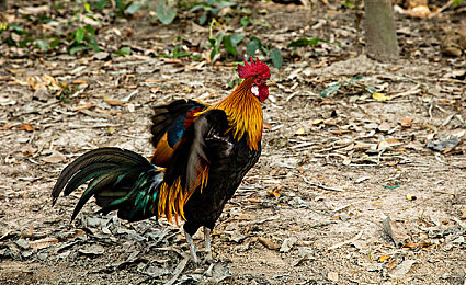 国产色清：霓虹色块赛道，复古竞速美学的清晰革命-1