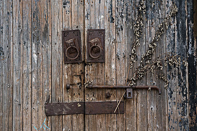 久热久热：极限竞速地平线5持续引爆竞速热潮，墨西哥开放世界驾驶体验再升级-1