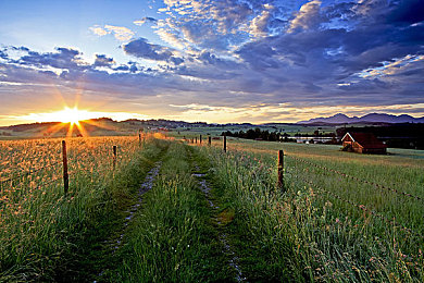 今夜も母おんでしょうか歌曲：在极速回响中，以驾驶与旋律驶向记忆的温暖归途