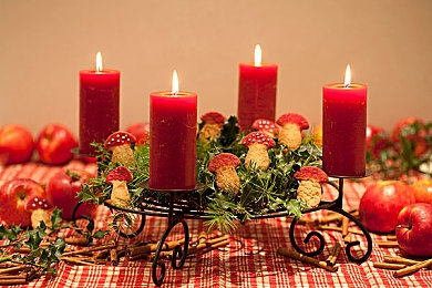 男生和女生叉叉的APP：极速搭档深度评测，双人竞速默契考验新体验-2