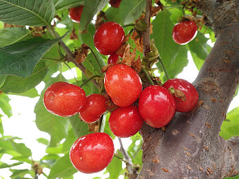 美女脱衣视频：霓虹幻影，极速衣橱，赛道之上的视觉进化之旅