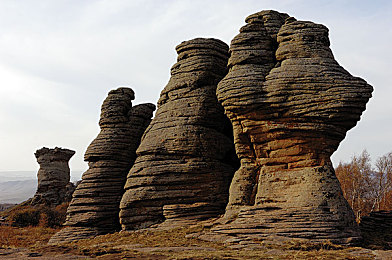 打扑克在床上叫疼：今日上线，卡牌策略与病床竞速的奇妙融合引爆玩家热议