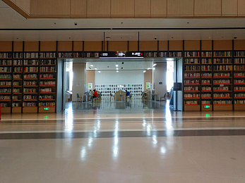 男生女生差差下载：双性竞速新作引爆话题，协同驾驶机制颠覆传统赛车游戏