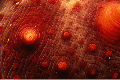 打扑壳不盖被子怎么办呀：深夜赛车失控频发，物理引擎模拟真实驾驶困境引发玩家热议