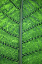 打扑克打的又痛又叫：极速牌局，狂飙心魄，双线争锋的极限策略风暴-1