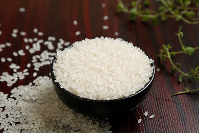 5x社区一切从这里开始打造：轰鸣墨西哥，地平线上的无限狂想与共创之旅