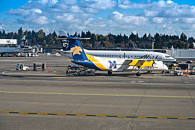 《纯洁の轮舞曲》樱花版剧情解析：公路尽头，后视镜里的春天