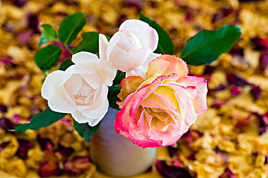 台湾佬成人娱乐网222vvvv：极限竞速地平线5全新季节活动上线，探索墨西哥自由竞速终极攻略-1