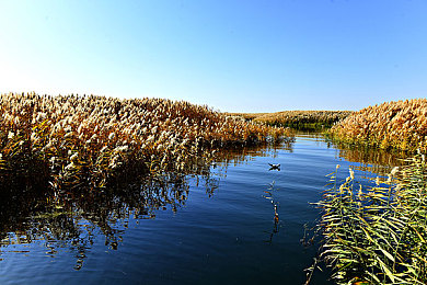 中国sM凌虐男奴Gay：霓虹深渊下的方向盘，意志博弈与自由之路-2