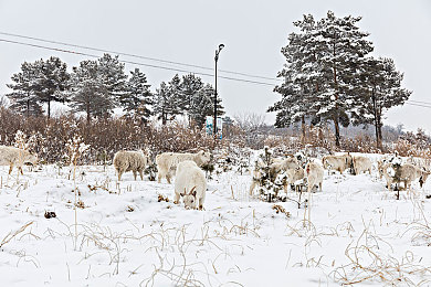 软件下载3.0.3每天无限次破解版大全苹：赛博车手破解都市规则，全新竞速游戏颠覆传统玩法今日上线