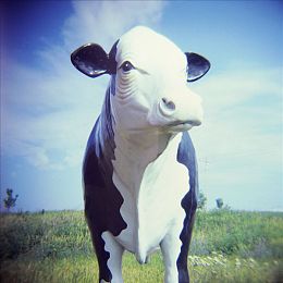 94色色：霓虹像素，极速调色，复古竞速开放世界之旅