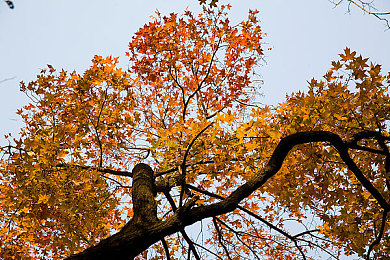 黄色软件app下载3.0.3免费装妆2025:《极速改装2025》正式上线,免费涂装系统引领赛车改装新潮流-3