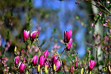 在床上打扑克：竞速卡牌新作午夜狂飙，体验改装策略与赛道狂飙的融合