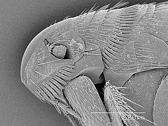xrk：黑客竞速新纪元，代码与速度的终极对决今日开启-1