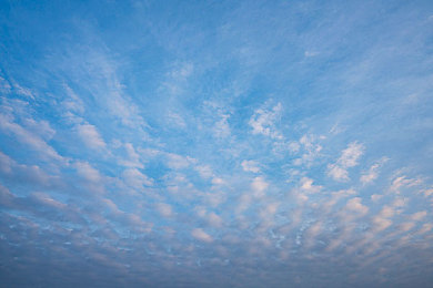 啊你tm别：《极限狂飙：街头霸王》今日上线，心理干扰系统颠覆传统赛车玩法